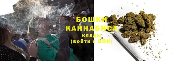 дурь Магас