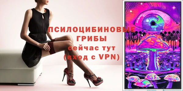 дурь Магас