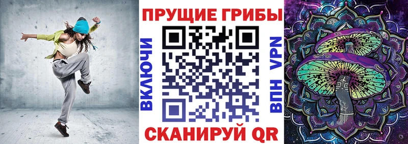 где купить наркоту  кракен зеркало  Галлюциногенные грибы прущие грибы  Ленинградская 
